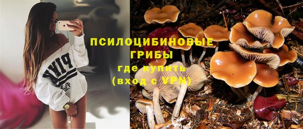 герыч Лагань