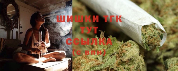не бодяженный Ладушкин