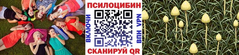 Псилоцибиновые грибы Psilocybe  ОМГ ОМГ вход  Камышин  что такое наркотик 