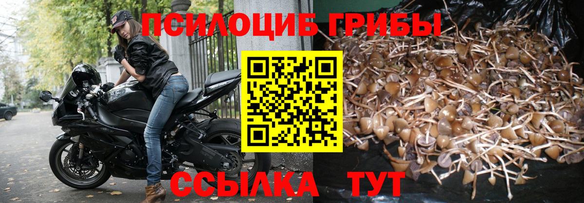 Псилоцибиновые грибы ЛСД  Вход с VPN  Камышин 