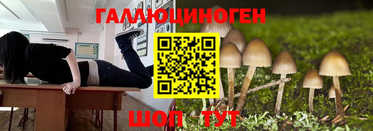 Псилоцибиновые грибы ЛСД Камышин