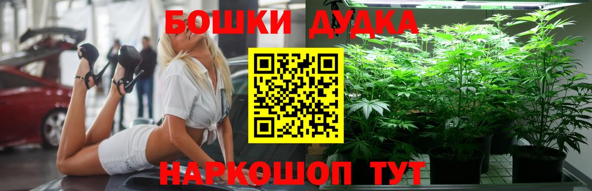 Шишки марихуана сатива  МАРИХУАНА OG Kush  Вход с VPN  Бошки Шишки OG Kush  Каннабис MAZAR  Камышин 